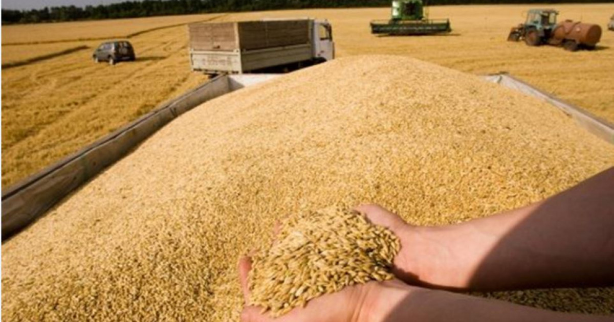 Терең өңдеу – толағай табыс көзі