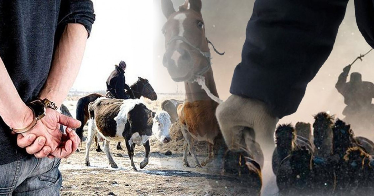 Ұрлық тыйылмай тұр