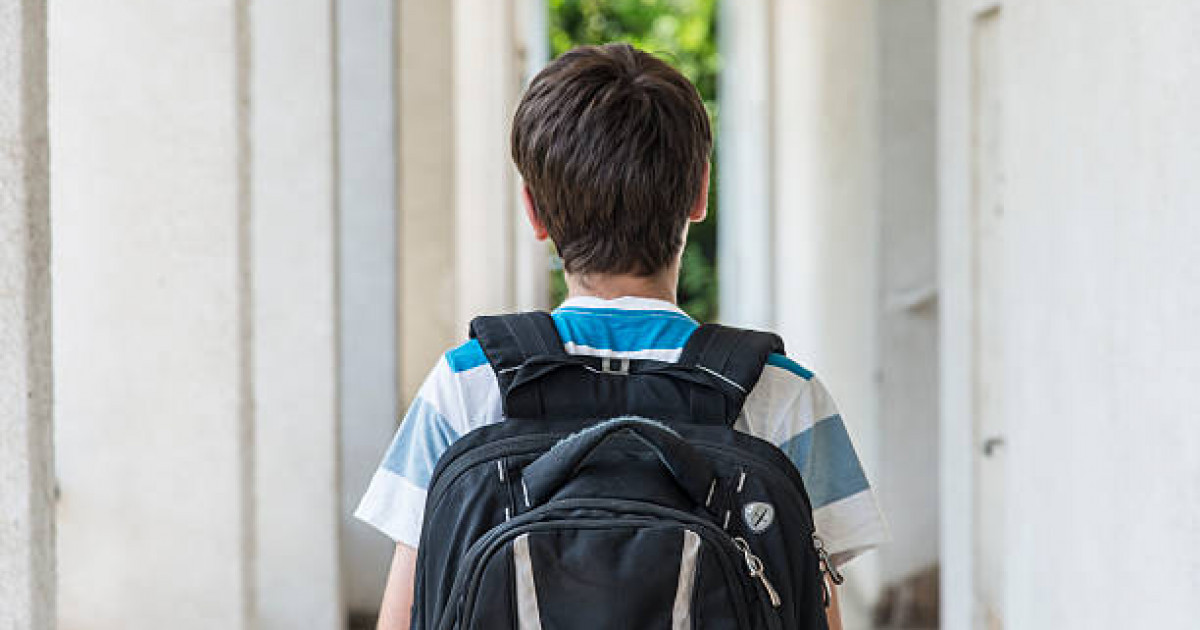 «Үзіліс кезінде болған»: Павлодар облысында оқушы сыныптасын тапаншамен  жарақаттады