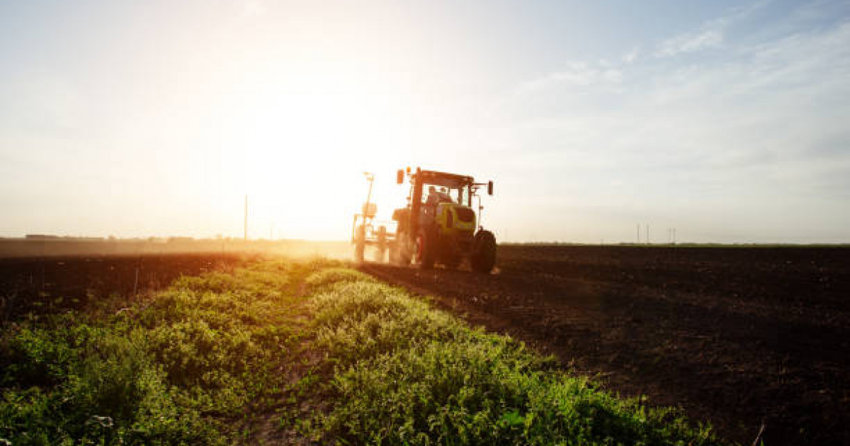 «Жер аманаты»: 11 миллион гектар жер мемлекетке қайтарылды