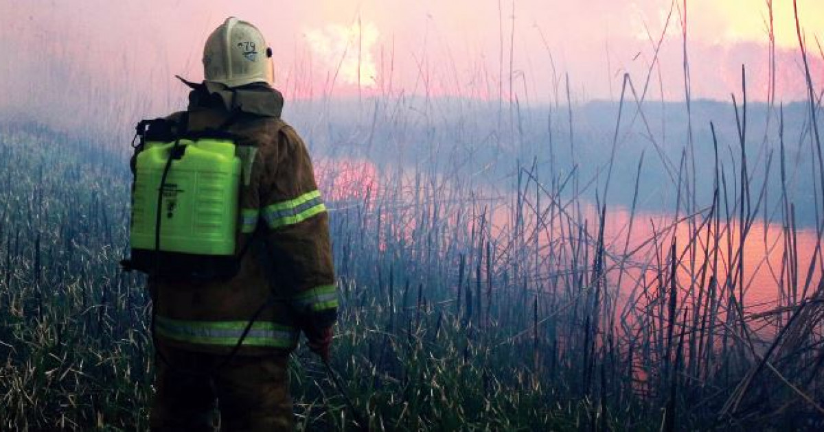Атырауда тағы қамыс өртенді