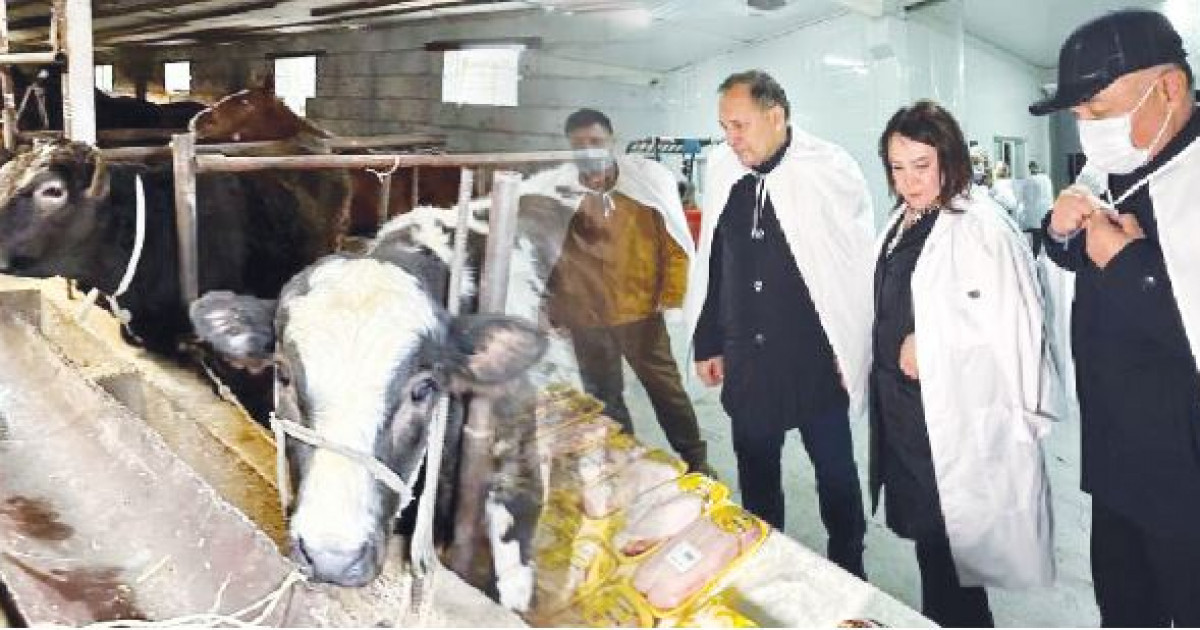 «Ауыл аманаты»: жоба жемісін беруде