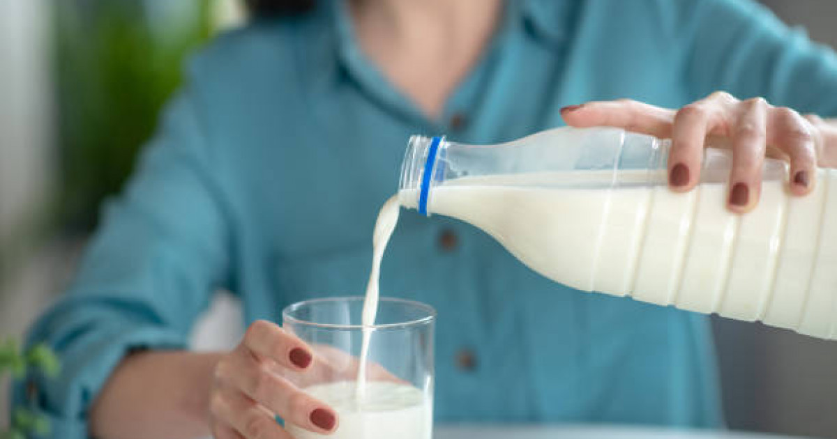 Ғалымдар сүтті күнделікті тұтынудың қандай зияны барын айтты