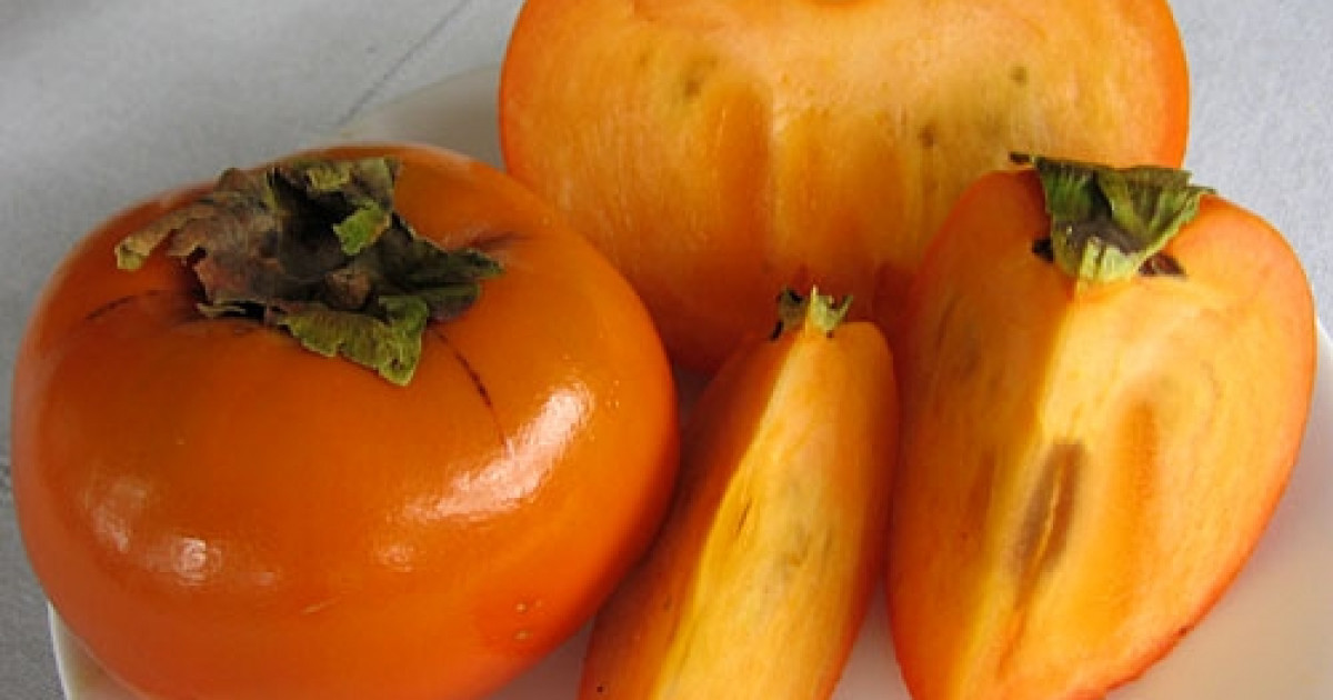 Құрманың адам ағзасына тигізетін пайдасы бар ма? Дәрігер жауабы