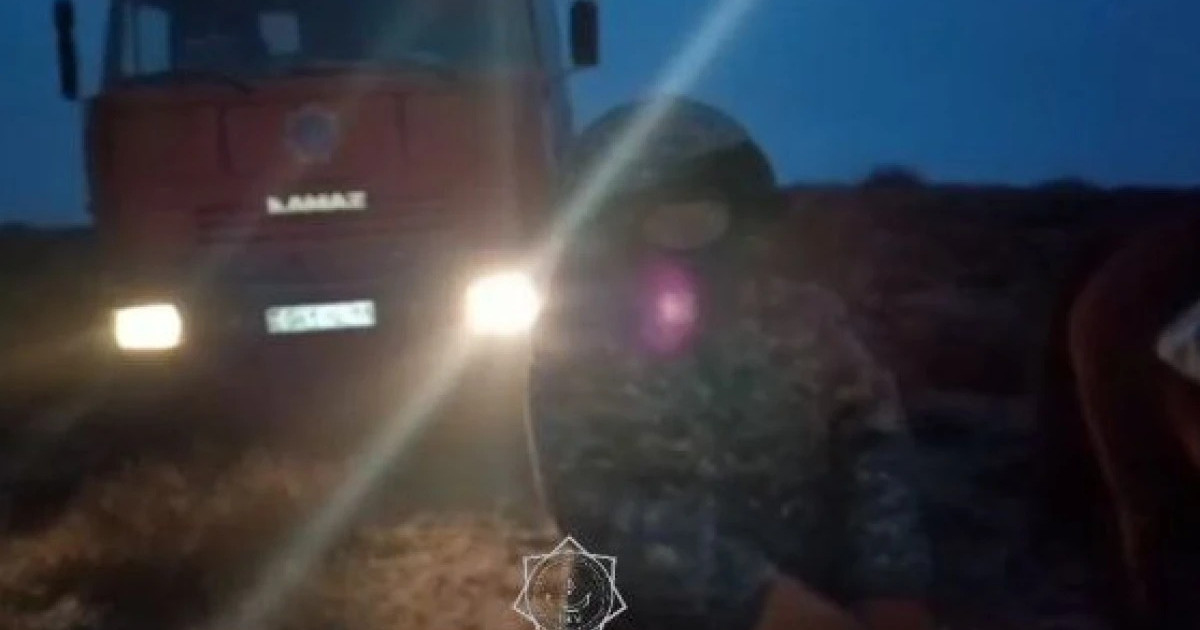 Қызылордада адасып кеткен малшы аман-есен табылды