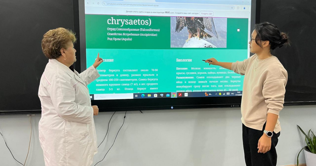 Студенттер сирек кездесетін жануарлар туралы ақпарат ұсынылатын сайт әзірледі