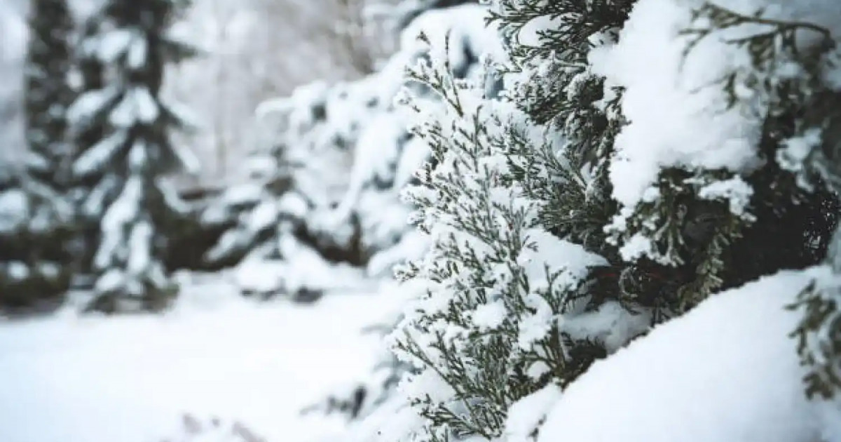 Алдағы үш күнде көктайғақ, боран болып, аяз күшейеді