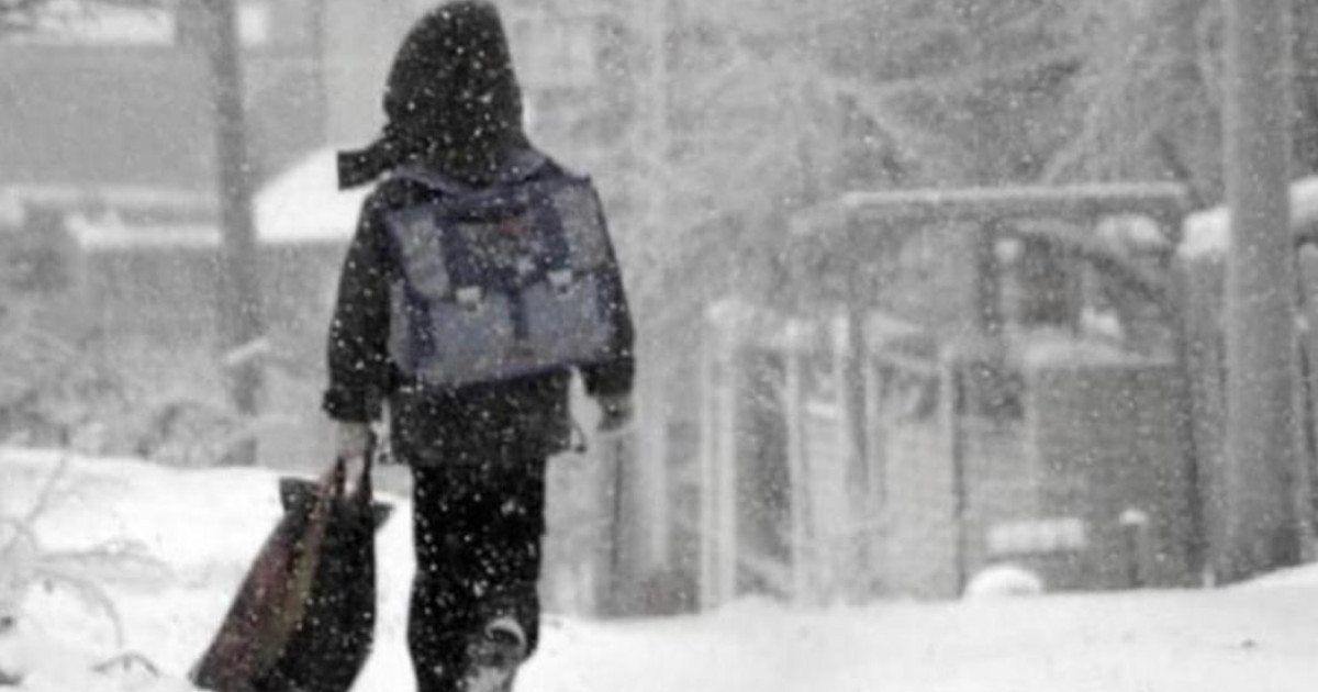 Астанада бірінші ауысымдағы бастауыш сынып оқушылары қашықтан оқиды