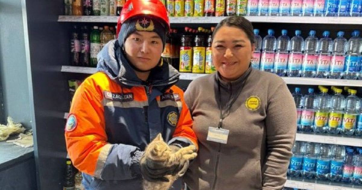 Астаналық құтқарушылар мысықты аман алып қалды