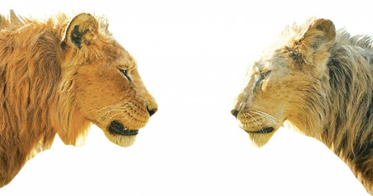 Disney ұсынған озық туынды