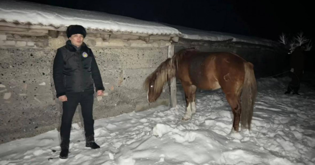 Бір үйір жылқыны сатып жіберген 50 жастағы ұры ұсталды