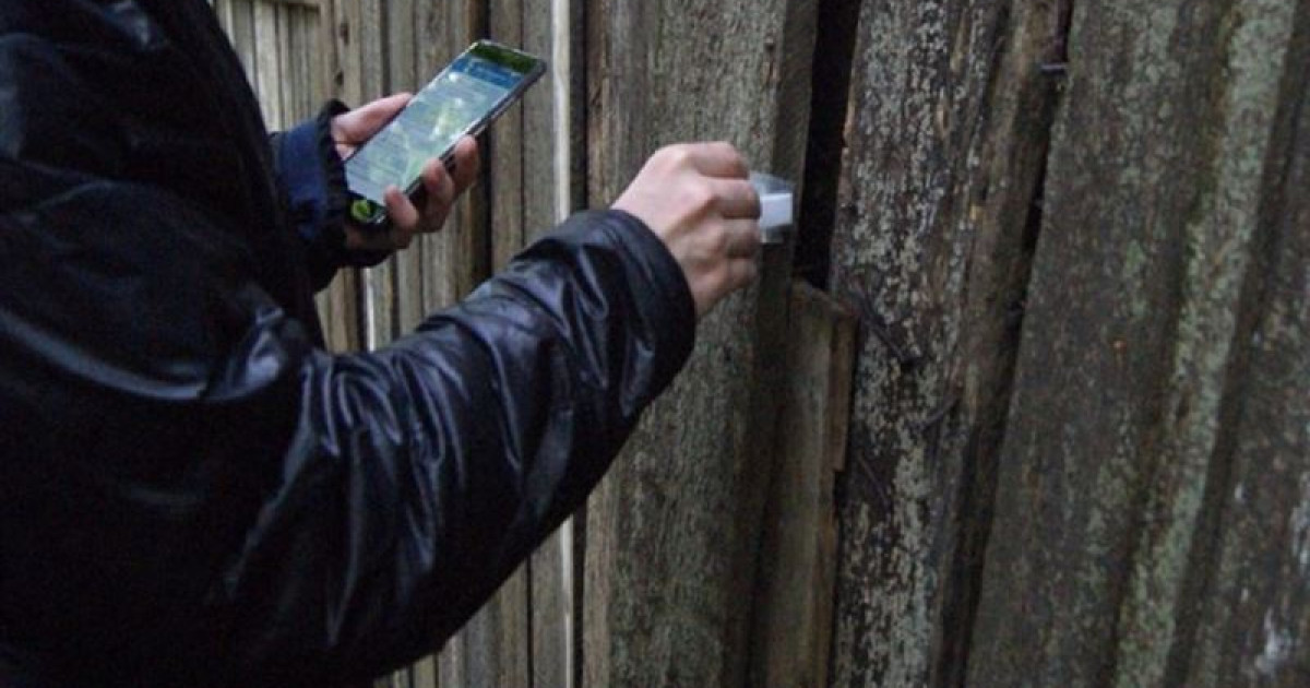 Қазақстанда есірткіні жасырын орналастырушылардың жазасы жеңілдетілді