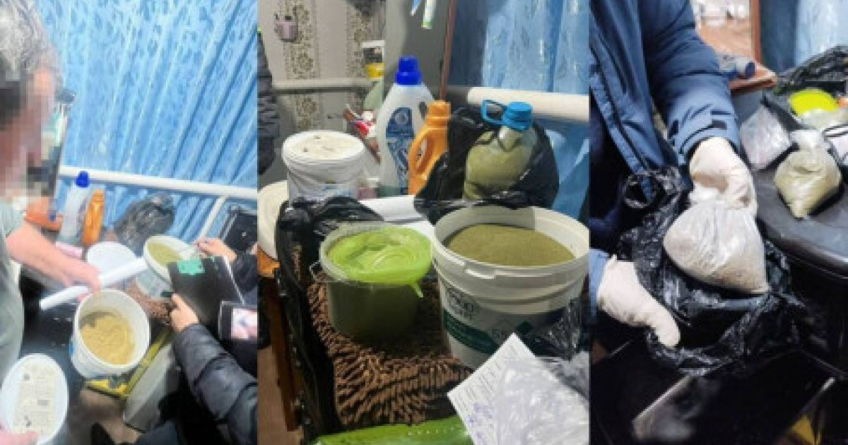 Қостанай облысында ауыл тұрғынынан аса ірі көлемде есірткі тәркіленді