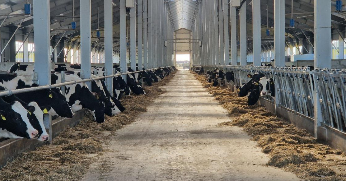 Құны 11,7 миллиард теңгені құрайтын сүт фермасы іске қосылды