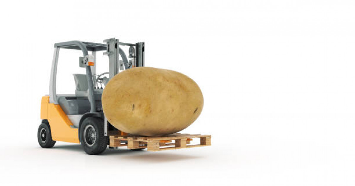 Картоп экспортқа 40-50 теңгеден сатылған ба?