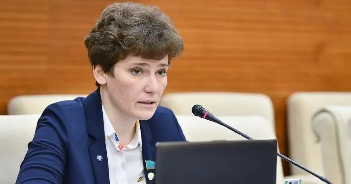 «Технологиялық хайп»: депутат көлікті 5 минуттан артық қыздыру нормасына қатысты пікір білдірді