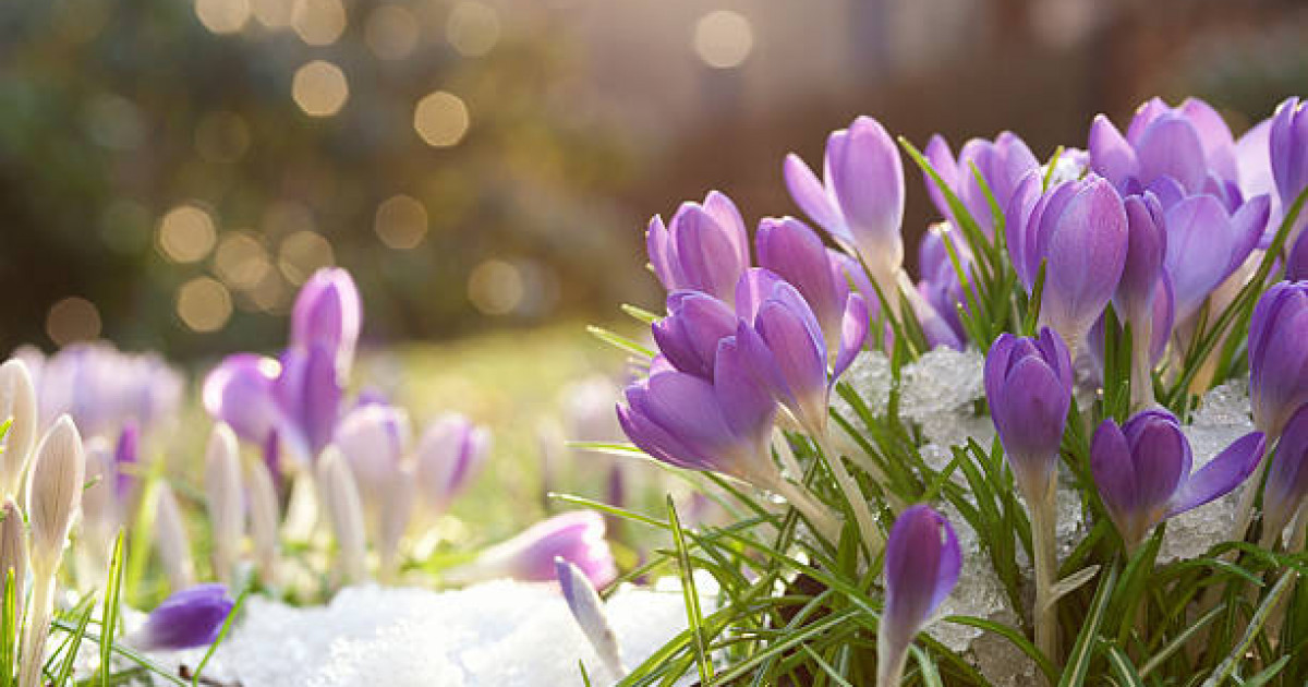 Биыл көктемде Қазақстанда ауа райы қандай болады?