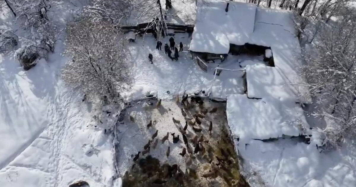 Теріс діни ағымдағылар Қазақстанда есірткі таратқан