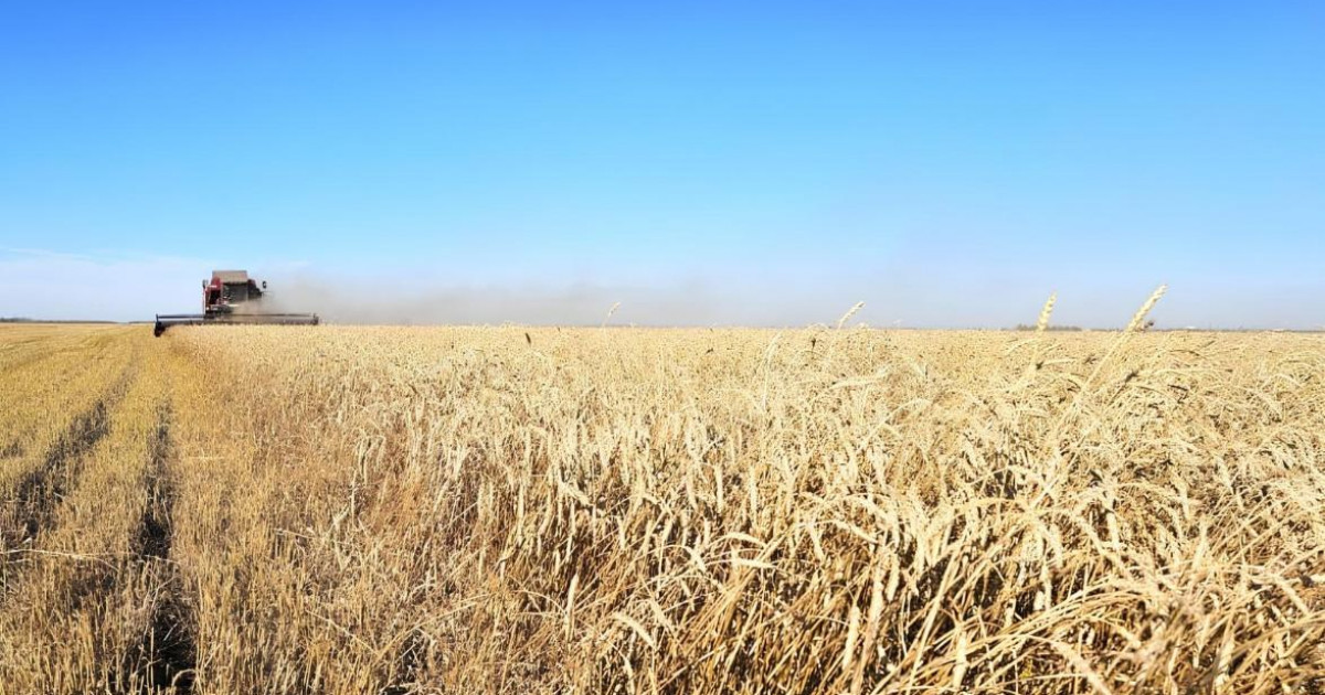 Елімізде жоғары сапалы тұқым орталығы құрылады