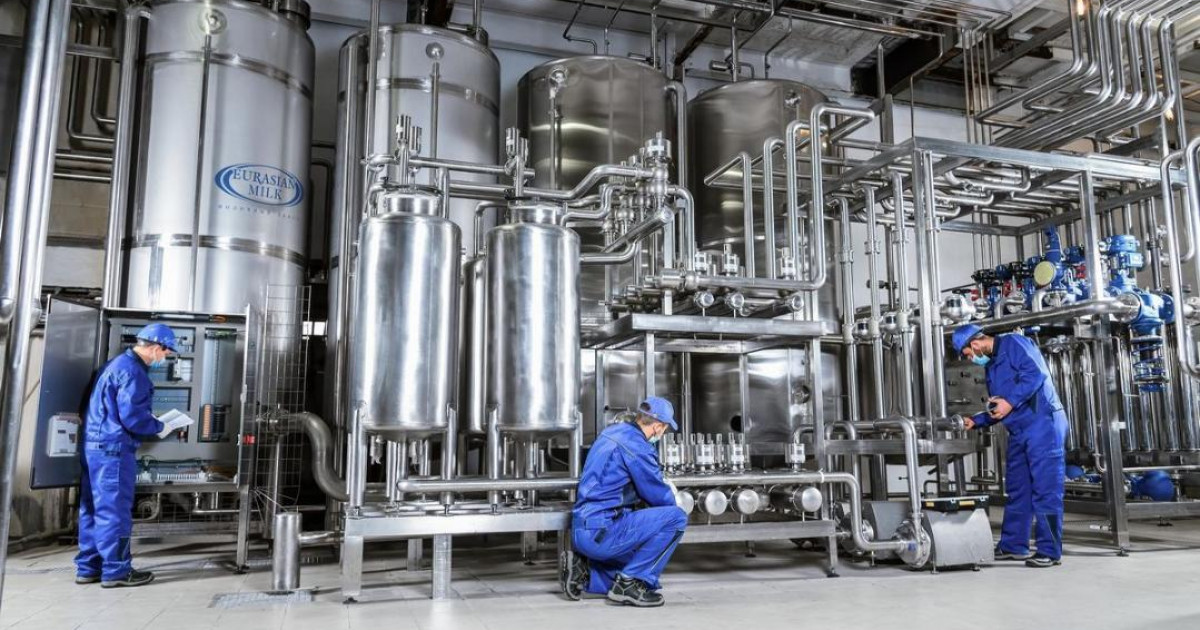 Кәсіпорын жылына 100 мың тонна сүт өңдеуге ниетті