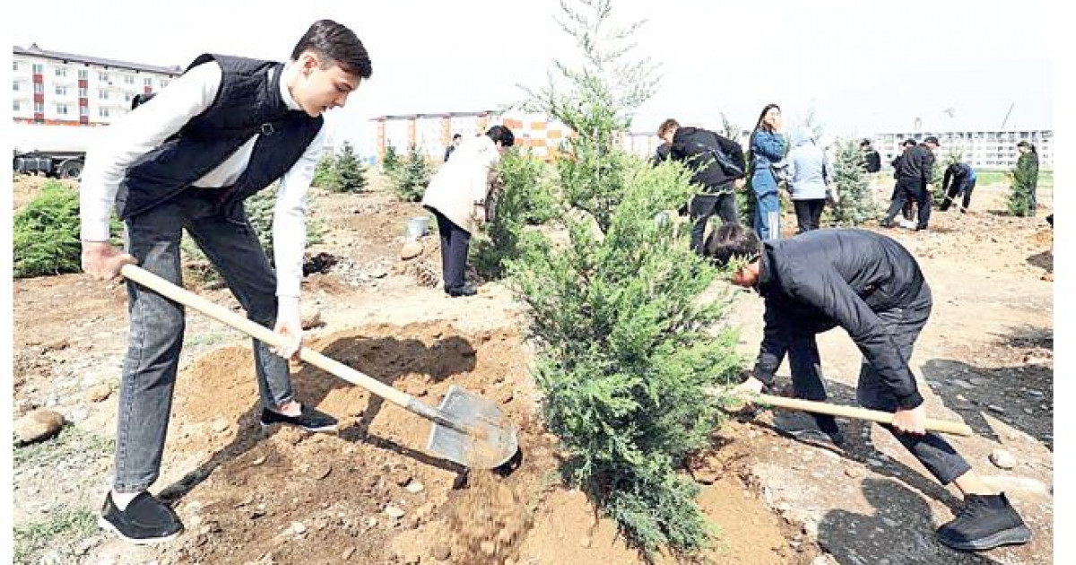 Көшеттің көптігі емес, көктігі керек