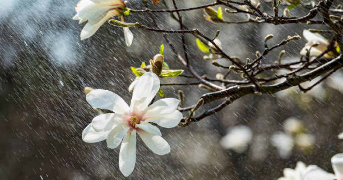 Аяз, көктайғақ: мереке күндері ауа райы қандай болады?