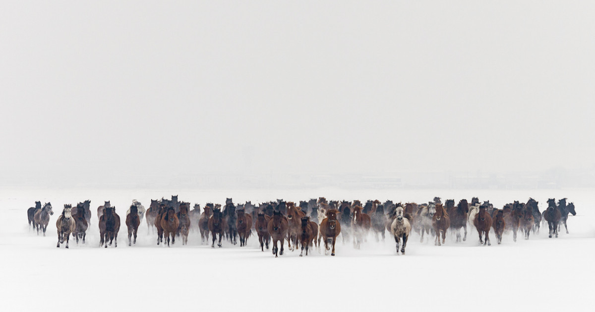 Бір үйір жылқыға кезіккен ерлі-зайыпты апатқа ұшырап, көз жұмды