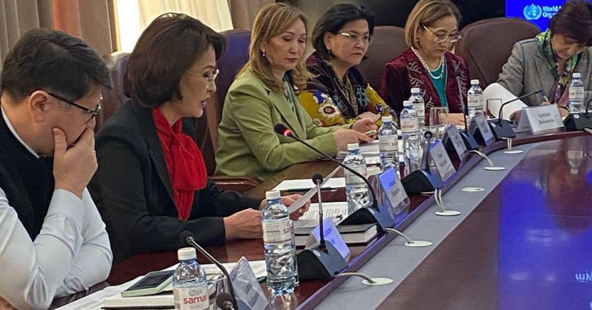 ДДҰ мен Қазақстанның 2030 жылға дейінгі ынтымақтастығының елдік стратегиясы талқыланды