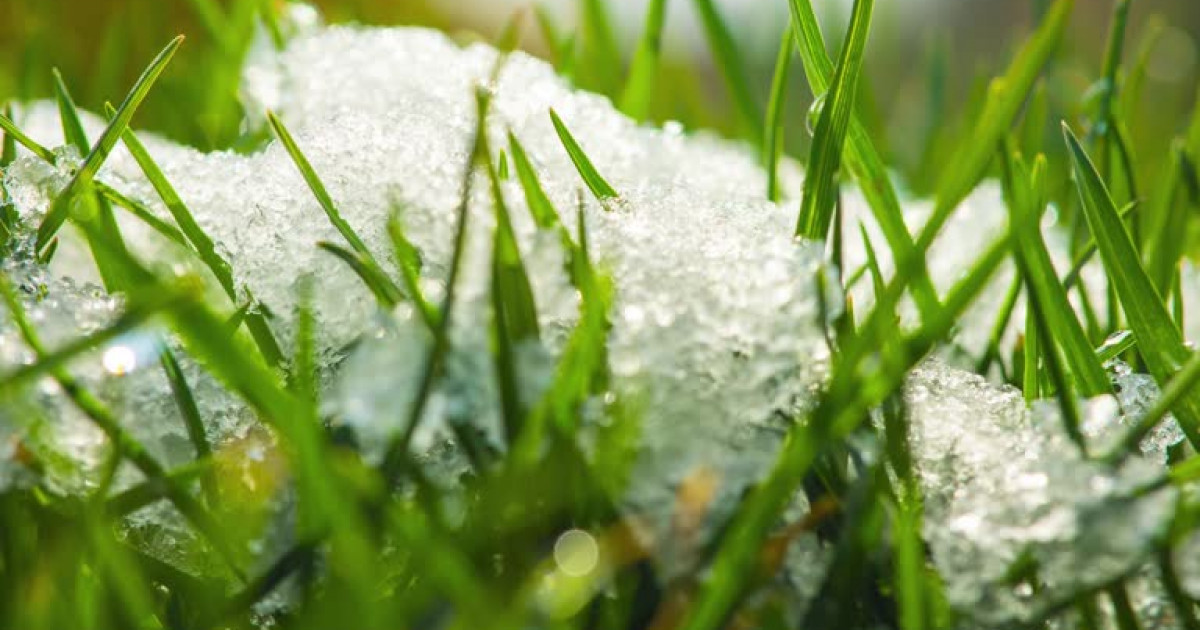 Демалыс күндері Қазақстанда ауа райы қандай болады?