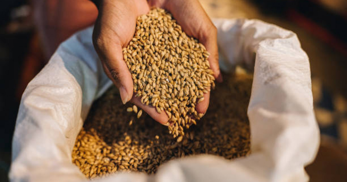 Қазақстанның ауыл шаруашылығындағы әлеуеті зор – Тоқаев