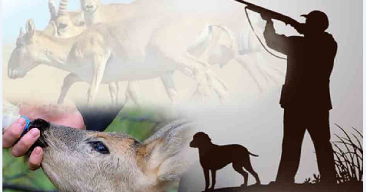 Қорықшыларға кім қорған болады?