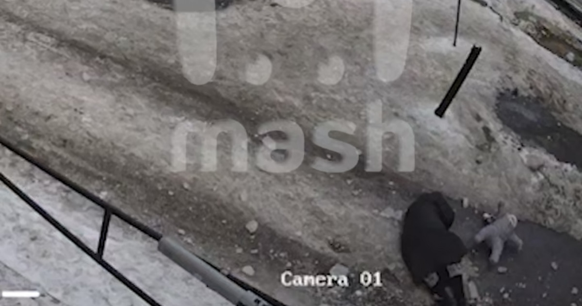 Шатырдан түскен мұз анасы мен баласының басына құлаған (видео)