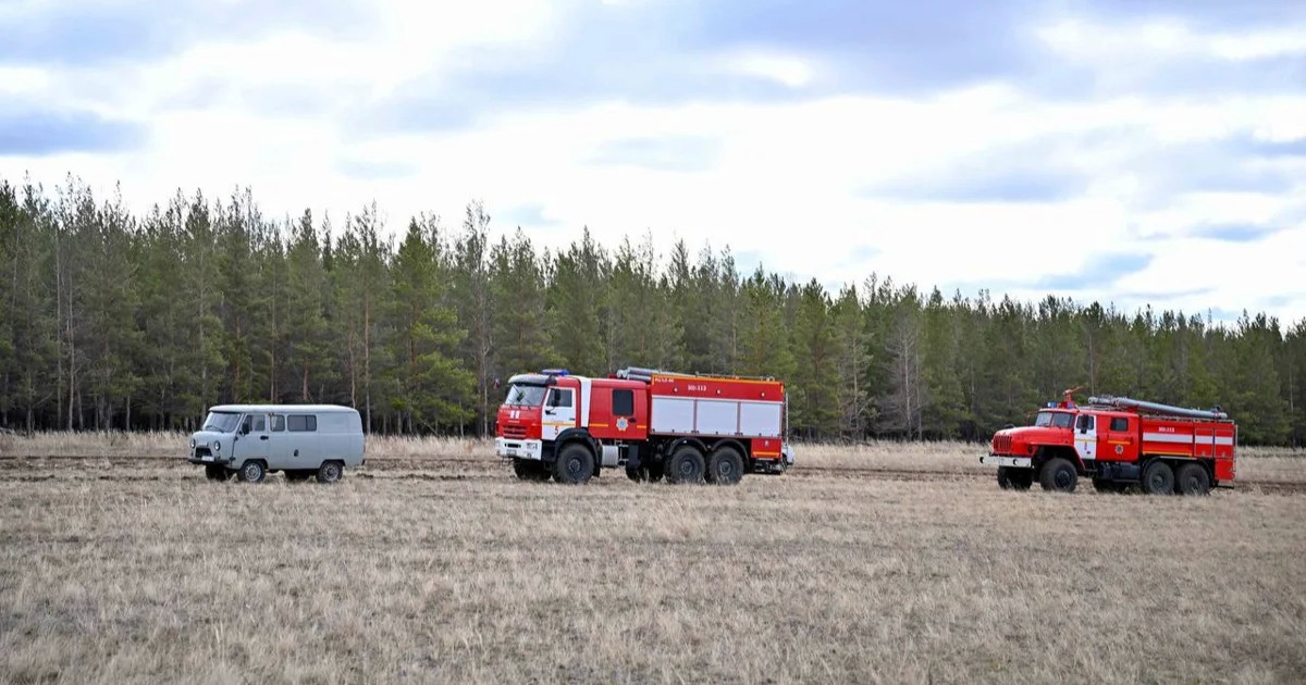 Абай облысындағы өрт: 400 гектар орман алқабы жанып кетті