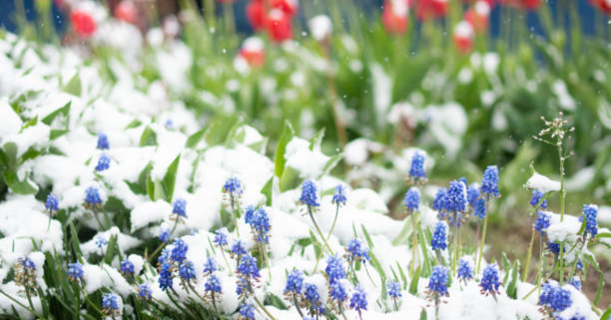 Алдағы күндері елімізде ауа райы қандай болады?