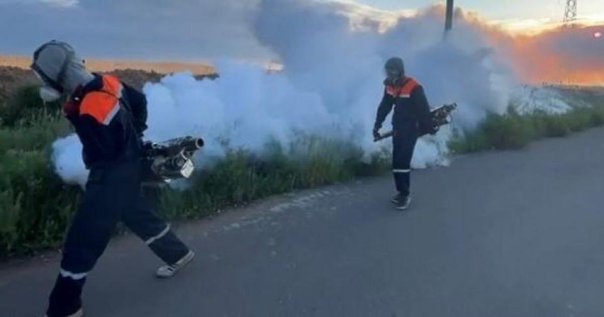 Астанада масаларға қарсы ауқымды дезинсекциялық жұмыс жүргізіліп жатыр