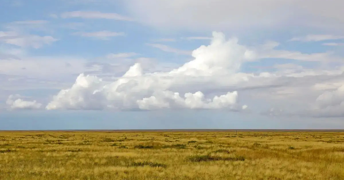 Атырауда тұрғындарға жер телімін беру уақытша тоқтатылды