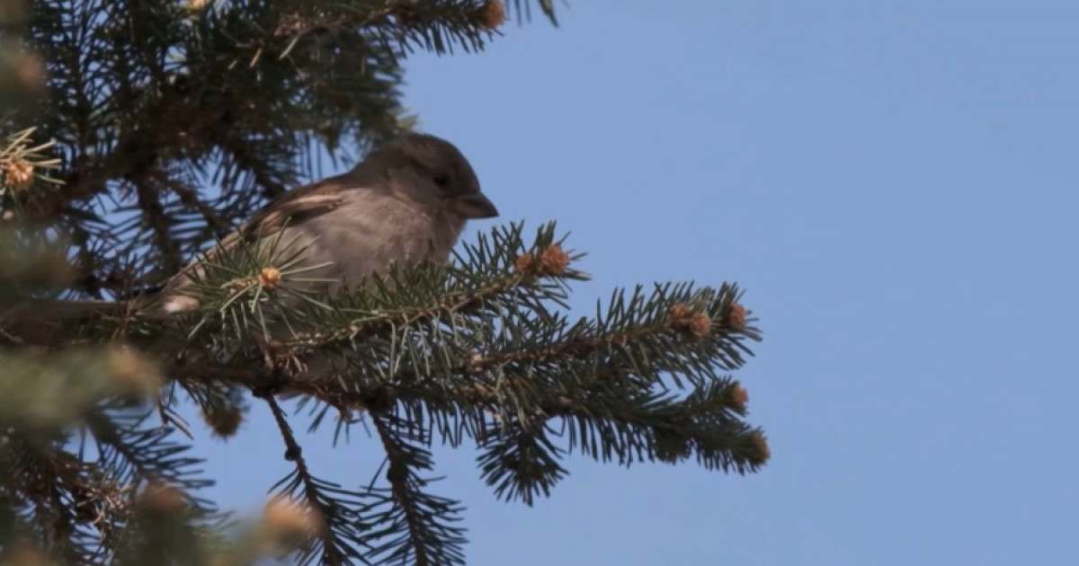 Бүгін елімізде ауа райы қандай болмақ?