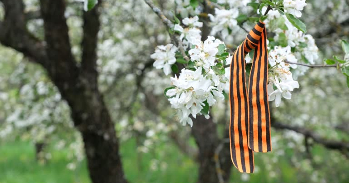 Елін азат еткен ер