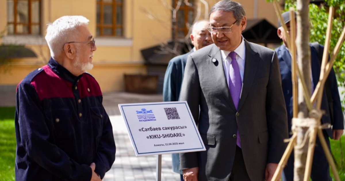 Ғылым күні: «Сәтбаев сакурасы» қайта жаңғыртылып, академия ауласына отырғызылды