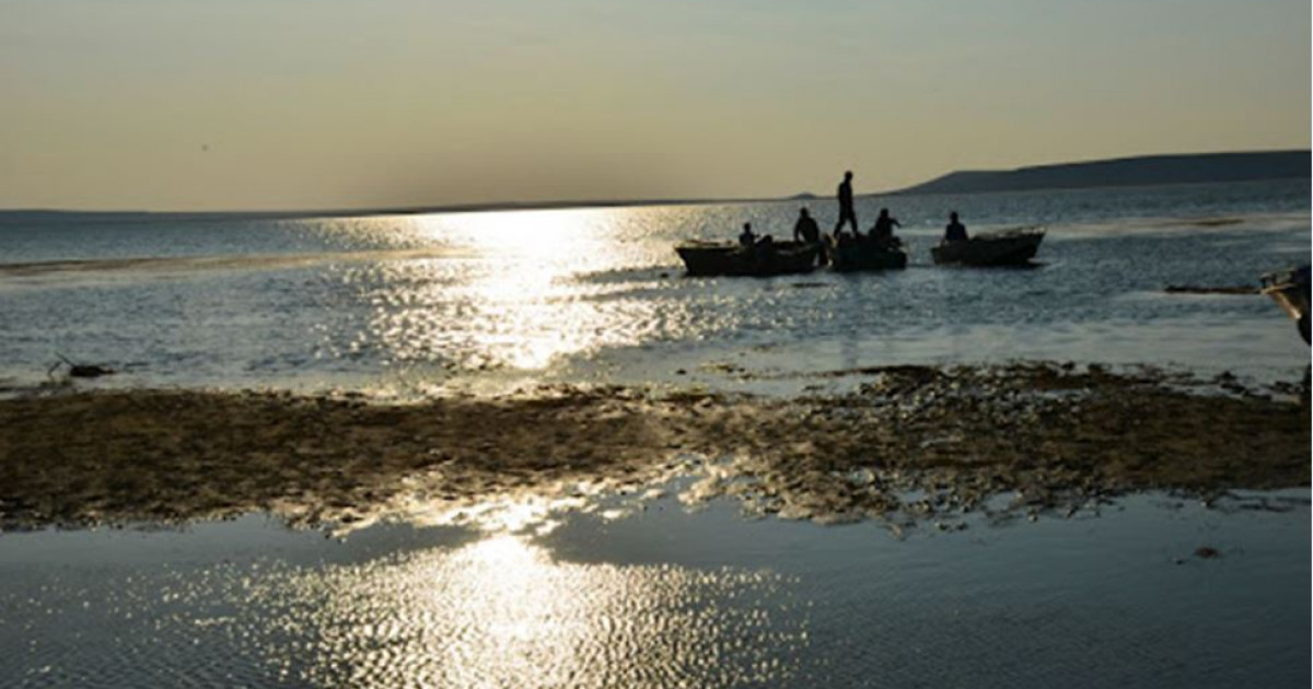 Камбала қайда, Кіші Арал?