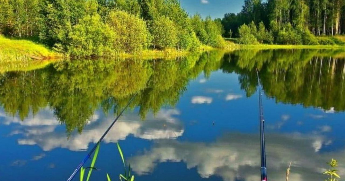 Көксерке мен сазан аулауға тыйым салынады