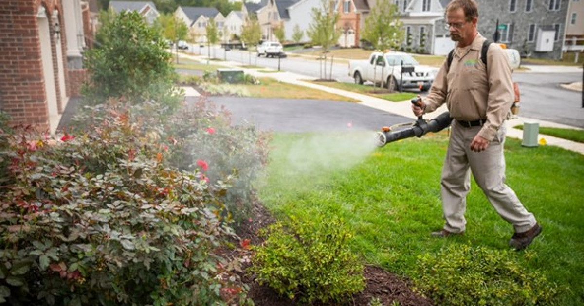 Масалармен күрестің жаңа тәсілі табылды