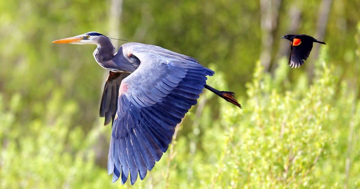 Сауатсыз экономика: жапалақты таспен ұрсаң да, тасты жапалақпен ұрсаң да нәтиже біреу
