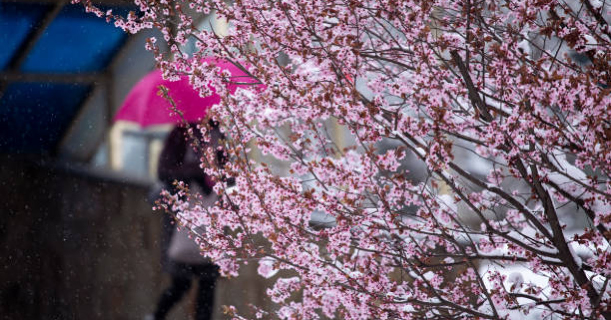 Синоптиктер дауыл туралы ескерту жариялады