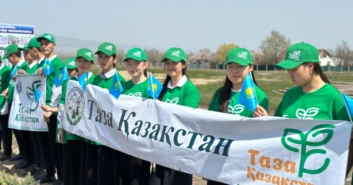 «Таза Қазақстан»: Кеген ауданында 10 мың дана шренк шыршасы отырғызылды