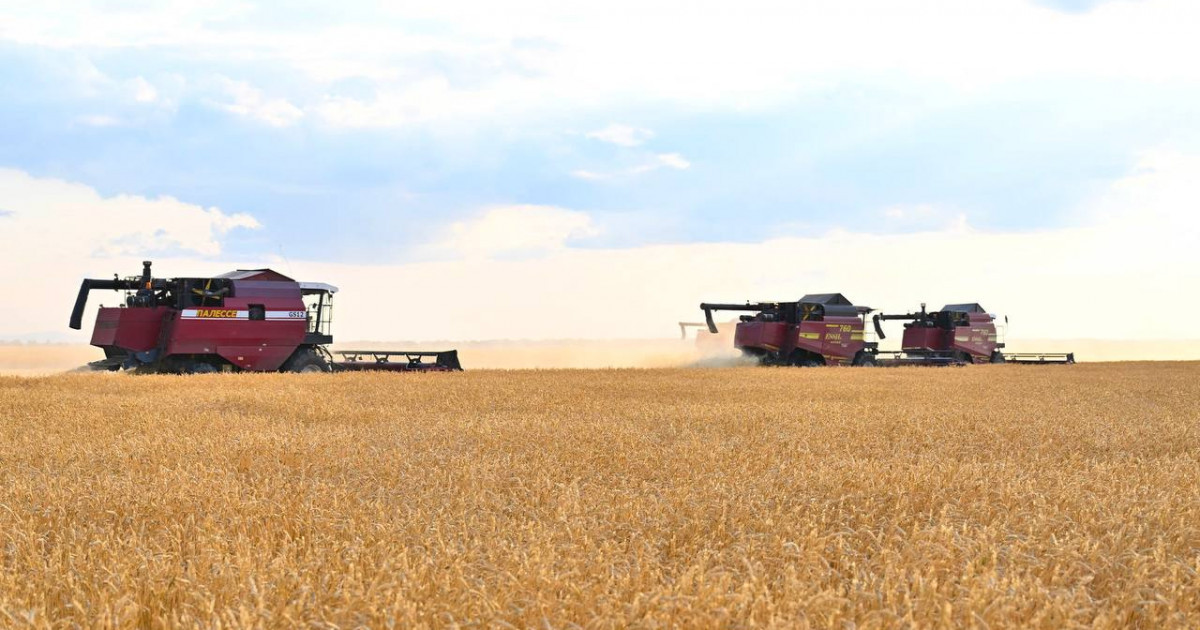 Үкімет астық саласын қолдауға 40 миллиард теңге бөлді