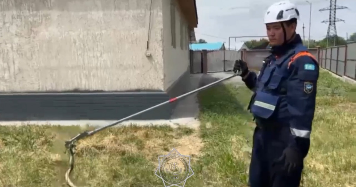 Алматы облысында құтқарушылар тұрғын үй ауласынан табылған жыланды ұстады