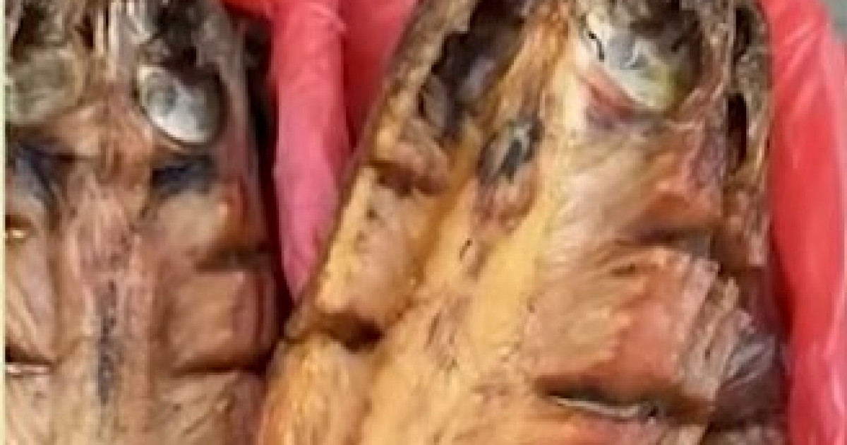 Балық жеп, аяқ-қолынан айырылған әйел басынан өткен оқиғасын айтып берді (видео)