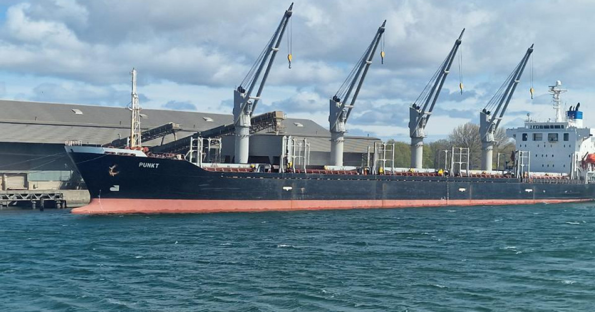 Диқандар рекордтық өнім жинап, әлемдік нарықта экспорт мүмкіндіктерін арттырды