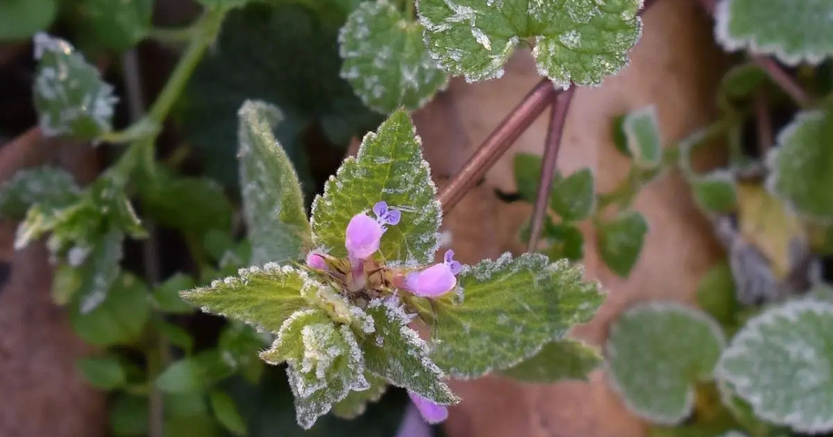Еліміздің басым бөлігінде найзағай ойнап, жауын жауады